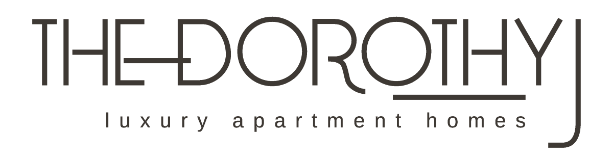 The Dorothy logo is displayed on a green background.
